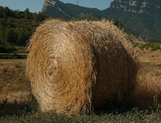 straw-1562372_640